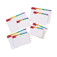 Image for Concord 5x3in MultiColour Guide Cards (24 Pack) 15198